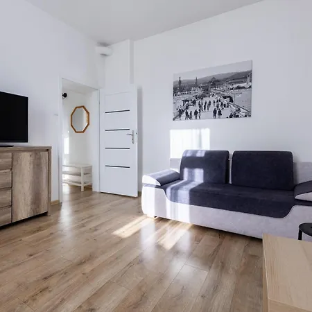 Victus Happy Seagull By Renters