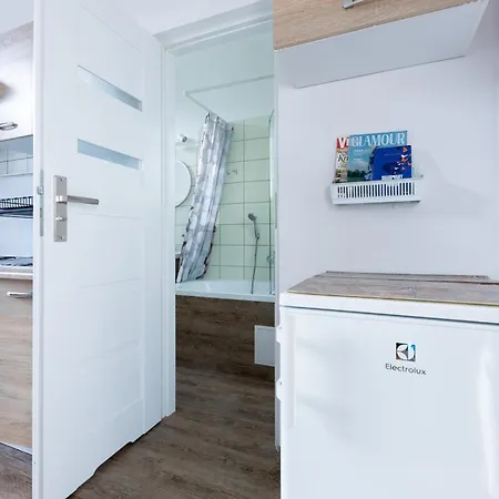 Victus Happy Seagull By Renters *